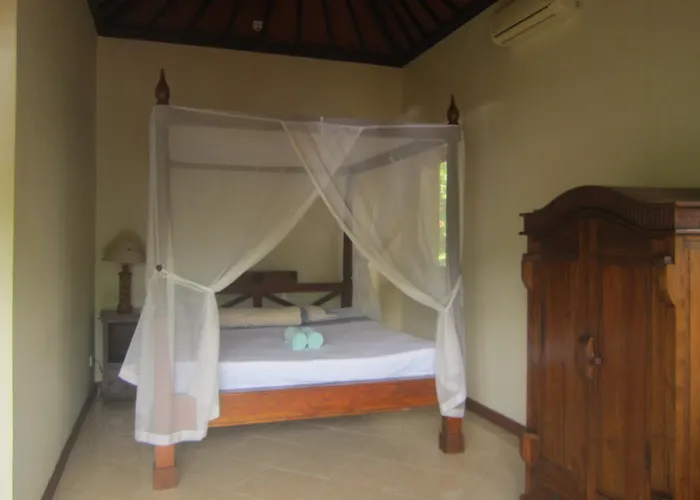 Coral Bali Hotel Amed (Bali)